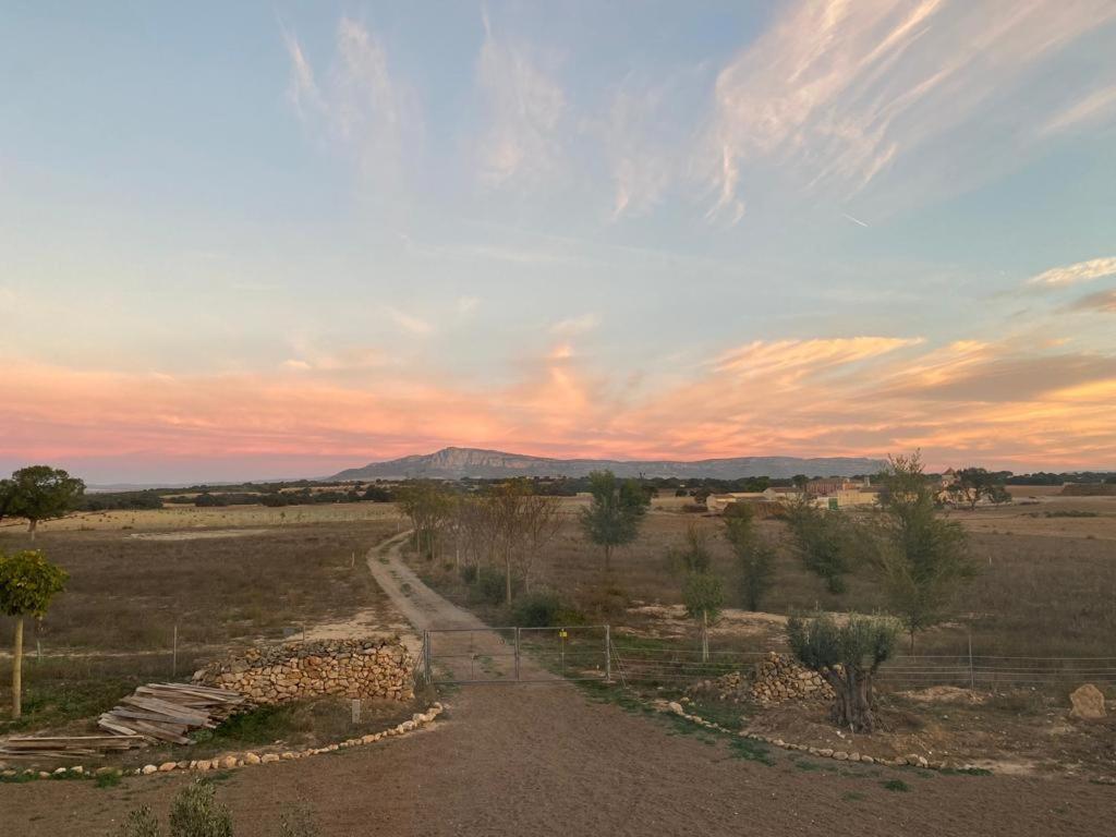 Finca Las Botas Альманса Экстерьер фото